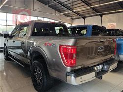 فۆرد F-150